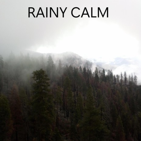 rainy calm | Boomplay Music