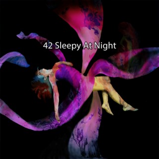 42 Sleepy At Night