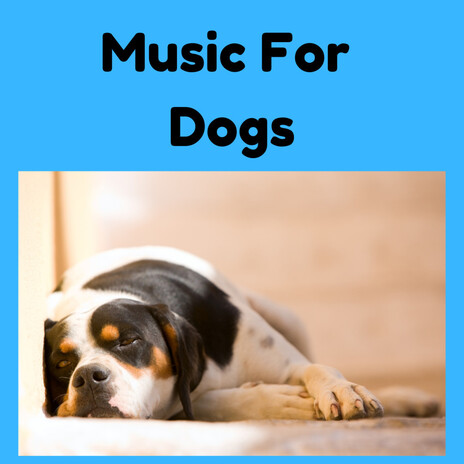 Piano Instrumental for Dogs ft. Music For Dogs Peace, Relaxing Puppy Music & Calm Pets Music Academy