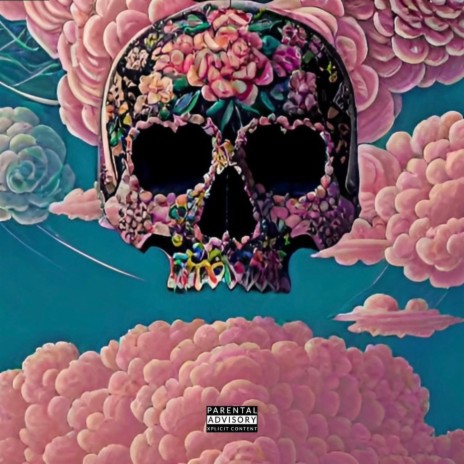 Pink Clouding | Boomplay Music