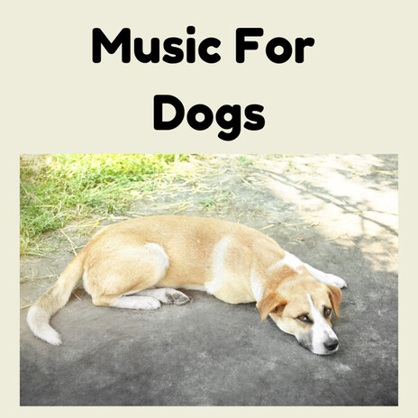 Night Time Music ft. Music For Dogs Peace, Relaxing Puppy Music & Calm Pets Music Academy