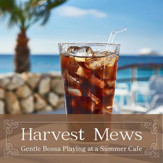 Gentle Bossa Playing at a Summer Cafe