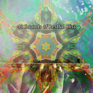 40 Sounds of Restful Bliss