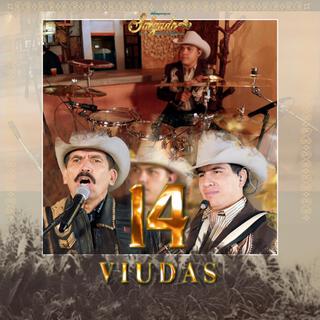 14 viudas