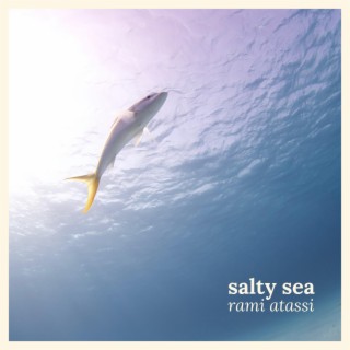 Salty Sea