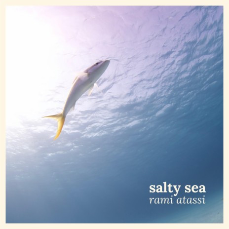 Salty Sea | Boomplay Music