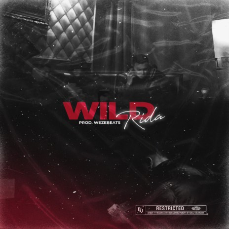 Wild | Boomplay Music