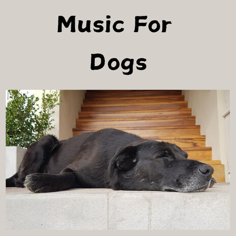 Snoozing Dog ft. Music For Dogs Peace, Relaxing Puppy Music & Calm Pets Music Academy