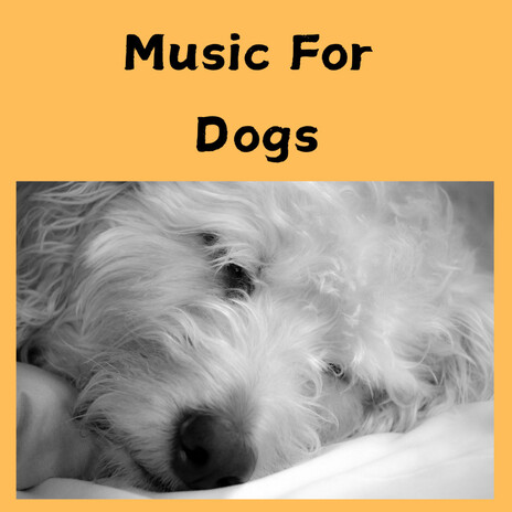 Music for Dogs ft. Music For Dogs Peace, Relaxing Puppy Music & Calm Pets Music Academy