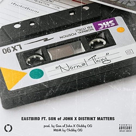 Normal Thing Ft. Son Of John and Distrikt Matters | Boomplay Music