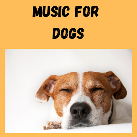 Mellow Music ft. Music For Dogs Peace, Relaxing Puppy Music & Calm Pets Music Academy