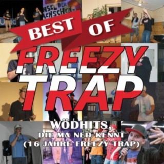 Best of - Wödhits, die ma ned kennt (16 Jahre Freezy Trap)