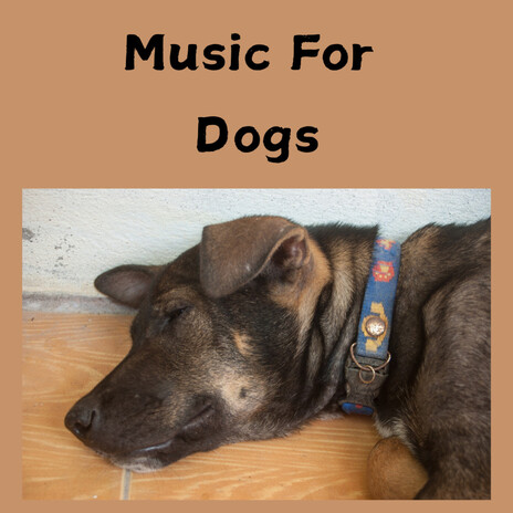 Calm Canines ft. Music For Dogs Peace, Relaxing Puppy Music & Calm Pets Music Academy