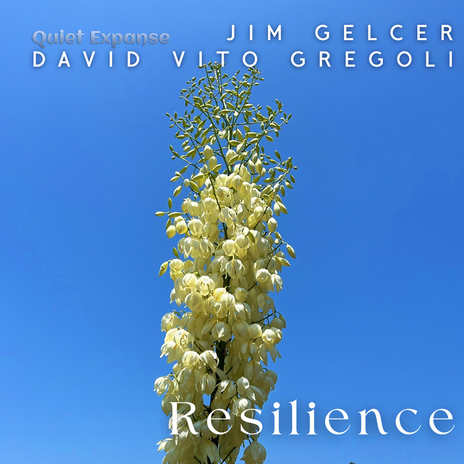 Resilience ft. David Vito Gregoli | Boomplay Music