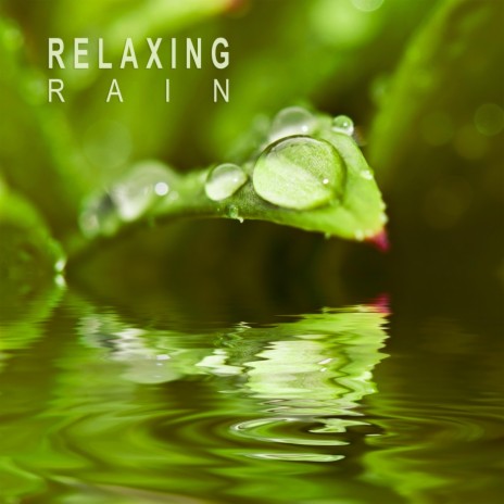 Relaxing Rain Sounds, Pt. 49 | Boomplay Music