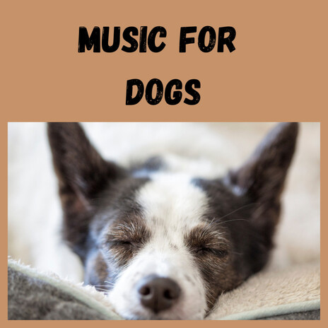 Ruff Night Sleep ft. Music For Dogs Peace, Relaxing Puppy Music & Calm Pets Music Academy