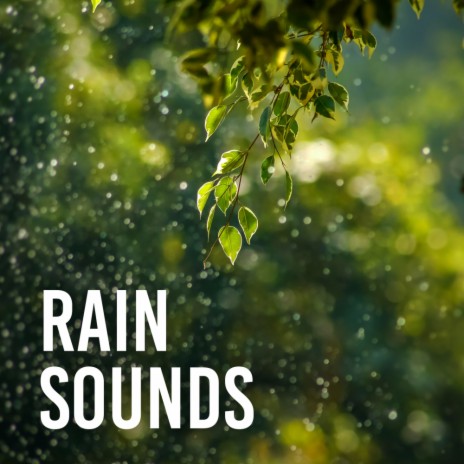 Relaxing Gentle Rain | Boomplay Music