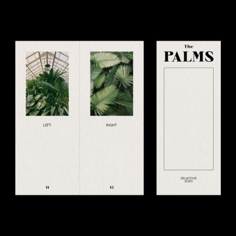 The Palms | Boomplay Music