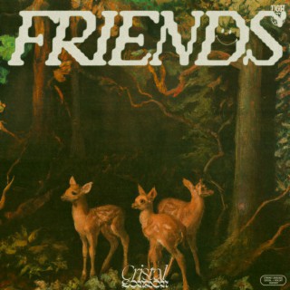 FRIENDS ft. Saint Olivier & Adrian Plantz lyrics | Boomplay Music