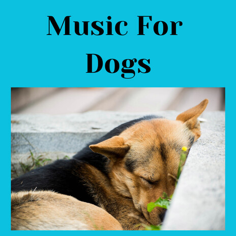 Zoning Out ft. Music For Dogs Peace, Relaxing Puppy Music & Calm Pets Music Academy