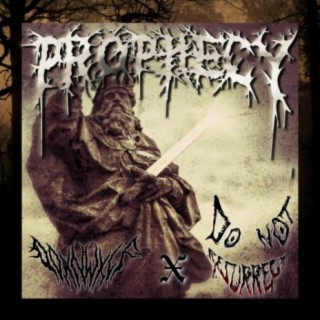 Prophecy (feat. do not resurrect)