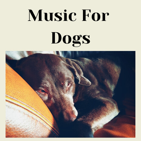 Dog Symphony ft. Music For Dogs Peace, Relaxing Puppy Music & Calm Pets Music Academy