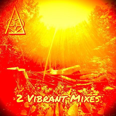 Vibrant (Radio Edit) | Boomplay Music