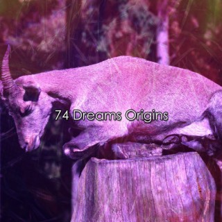 74 Dreams Origins