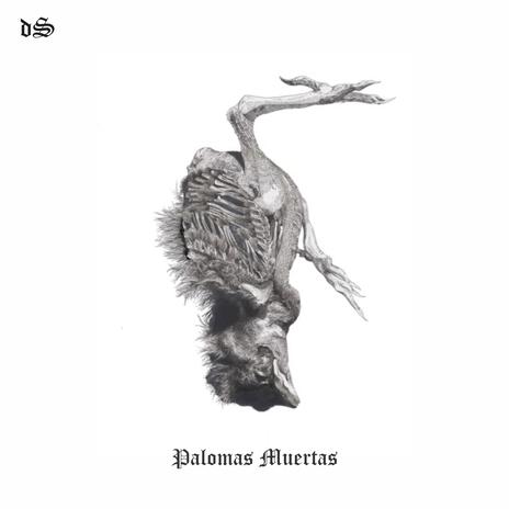 Palomas Muertas | Boomplay Music