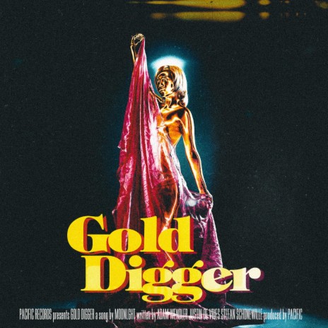 Gold Digger | Boomplay Music