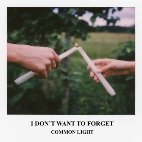 I DON'T WANT TO FORGET | Boomplay Music