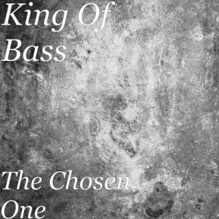 Bass Evolution Listen On Boomplay For Free boomplay