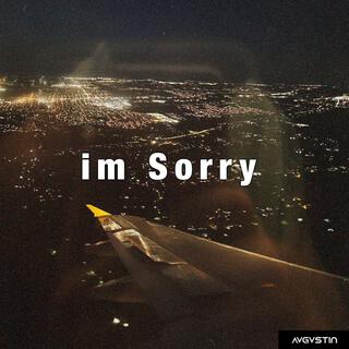 I'm Sorry lyrics | Boomplay Music