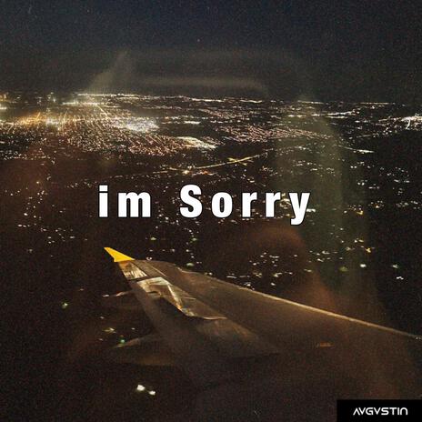 I'm Sorry | Boomplay Music