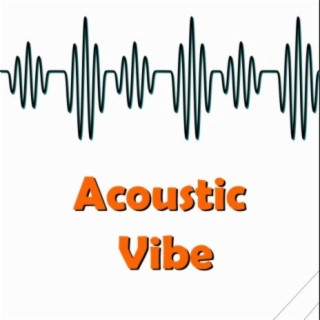 Acoustic Vibe
