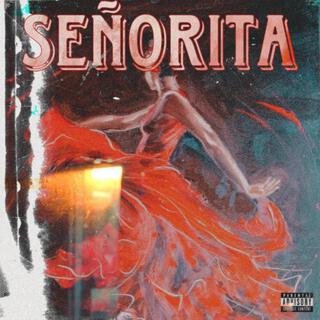 SEÑORITA lyrics | Boomplay Music