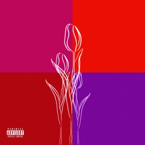 Tulips (Acoustic Version) | Boomplay Music