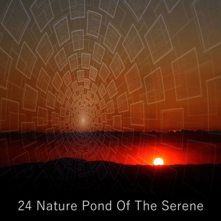 24 Nature Pond Of The Serene