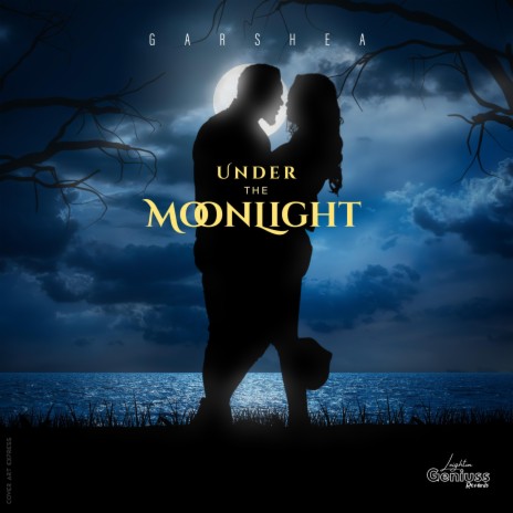 Under the Moonlight | Boomplay Music