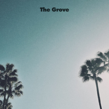 The Grove ft. Metic | Boomplay Music