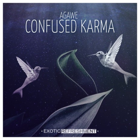 Confused Karma | Boomplay Music