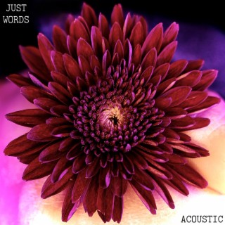 Just Words (Acoustic Version)