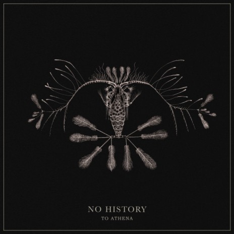 No History | Boomplay Music