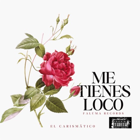 Me tienes loco | Boomplay Music