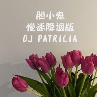 胆小鬼 慢速降调版-DJ PATRICIA