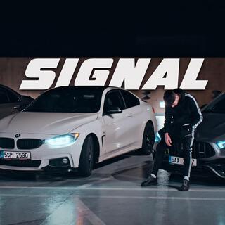 Signal