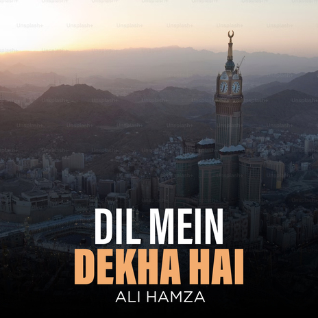 Dil Mein Dekha Hai | Boomplay Music