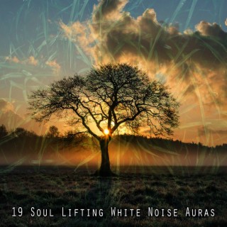 19 Soul Lifting White Noise Auras