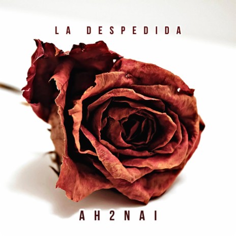 La Despedida | Boomplay Music