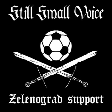 Zelenograd Support